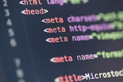 Coding for Agro Mavens website, agricultural communications specialist