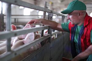 Agricultural copywriting specialists for all aspects of farming